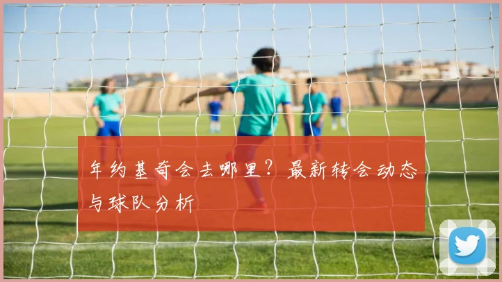 年约基奇会去哪里？最新转会动态与球队分析